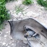 Бампер передний для Opel Zafira B Киев бампер передний Opel Zafira B с 08 по 14 год 6400642