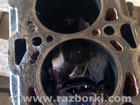 Блок цилиндров для Fiat Doblò I (2000-2009) Киев Блок двигателя Fiat Doblo 1.9jtd 55196611