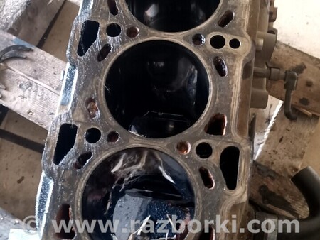 Блок цилиндров для Opel Vectra C (2002-2008) Киев Блок двигателя Opel Vectra C 1.9cdti z19dt 55196611