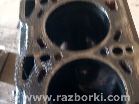 Блок цилиндров для Opel Zafira B Киев Блок двигателя Opel Zafira B 1.9cdti z19dt 55196611