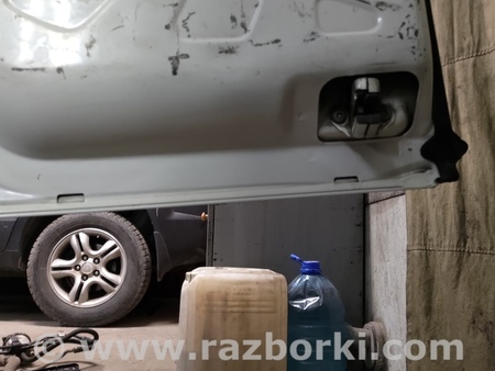 Двери задние распашные для Fiat Doblò I (2000-2009) Київ