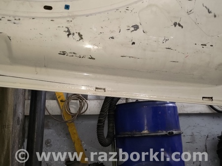 Двери задние распашные для Fiat Doblò I (2000-2009) Київ