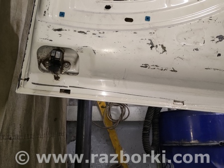 Двери задние распашные для Fiat Doblò I (2000-2009) Київ