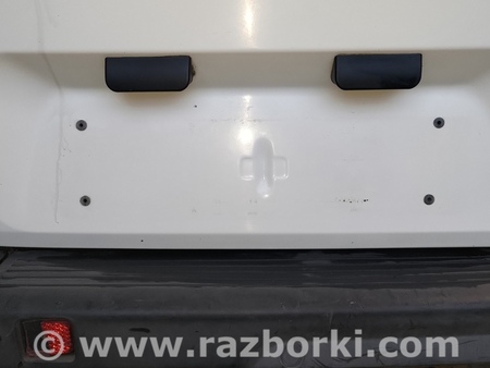 Двери задние распашные для Fiat Doblò I (2000-2009) Київ