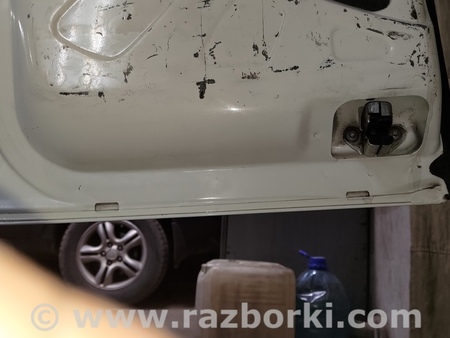 Двери задние распашные для Fiat Doblò I (2000-2009) Київ