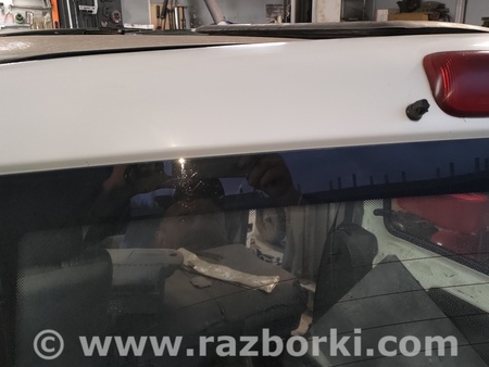 Двери задние распашные для Fiat Doblò I (2000-2009) Київ