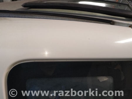 Двери задние распашные для Fiat Doblò I (2000-2009) Київ