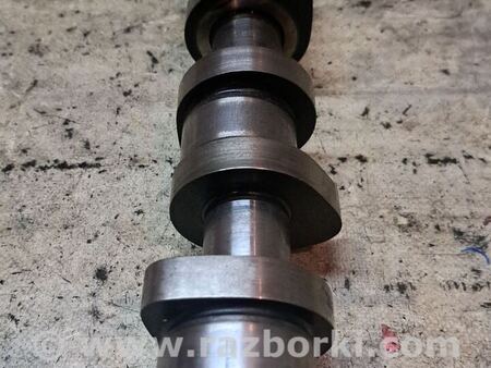 Распредвал для Volkswagen Passat B5 (08.1996-02.2005) Київ 038109101R